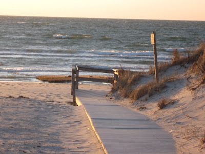 Brewster by the Sea