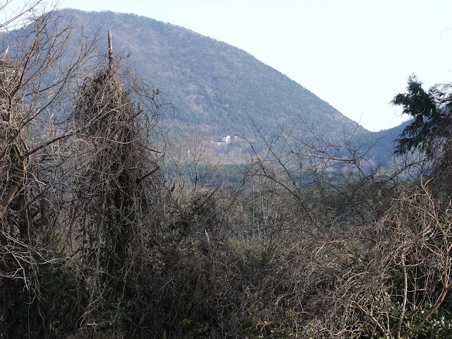 日下の丘の上の田畑の農道からの孝霊山の眺