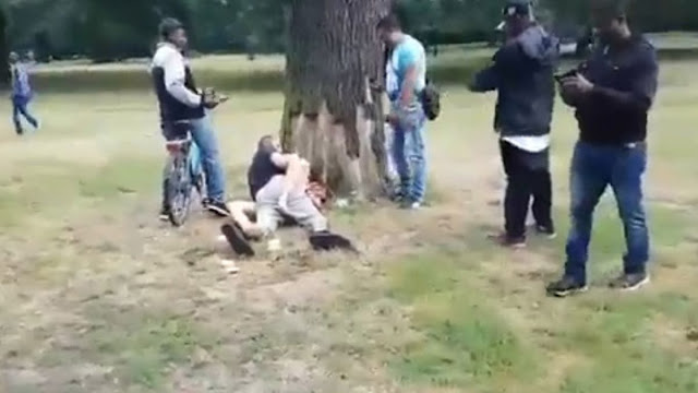 Couple having sex in a public park