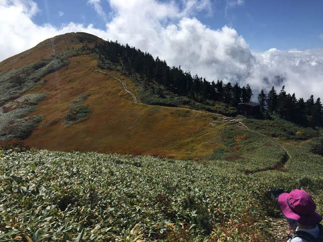 巻機山避難小屋の水場付近