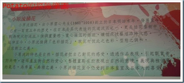 DSCN6123