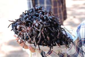 Laba-Laba (Tarantula) Goreng