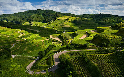 12 fotografías panorámicas de paisajes naturales (escenarios del campo)