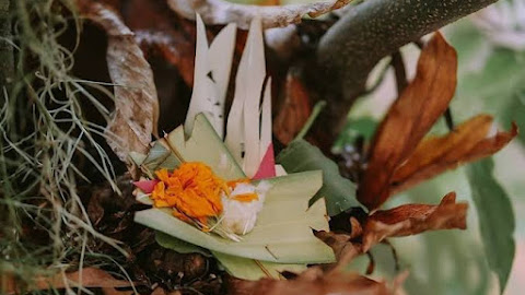 Makna Hari Raya Tumpek Bubuh - Hari Raya Kasih Sayang Umat Hindu Bali