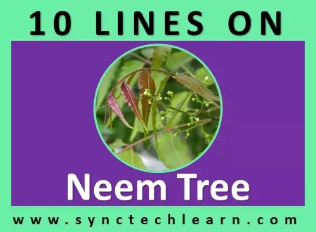 10 lines on neem tree in english