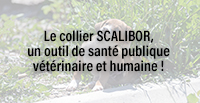  Le collier SCALIBOR®, un outil de santé publique vétérinaire et humaine !