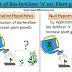 Mr Ten V Differences Betwixt Aught As Well As Choice Hypothesis Amongst Example