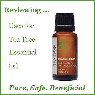 Reviewing Uses for Tea Tree Oil