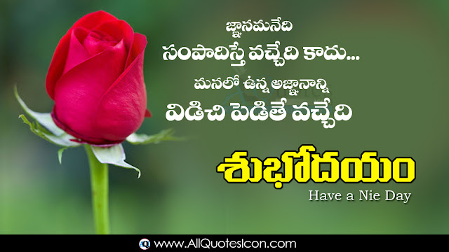 Telugu-good-morning-quotes-wishes-for-Whatsapp-Life-Facebook-Images-Inspirational-Thoughts-Sayings-greetings-wallpapers-pictures-images