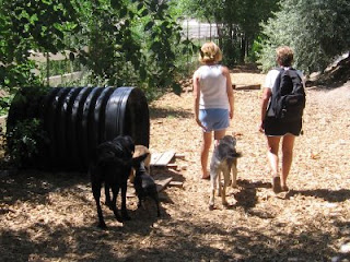 Nan with Colin and dogs at the Animal Nanny