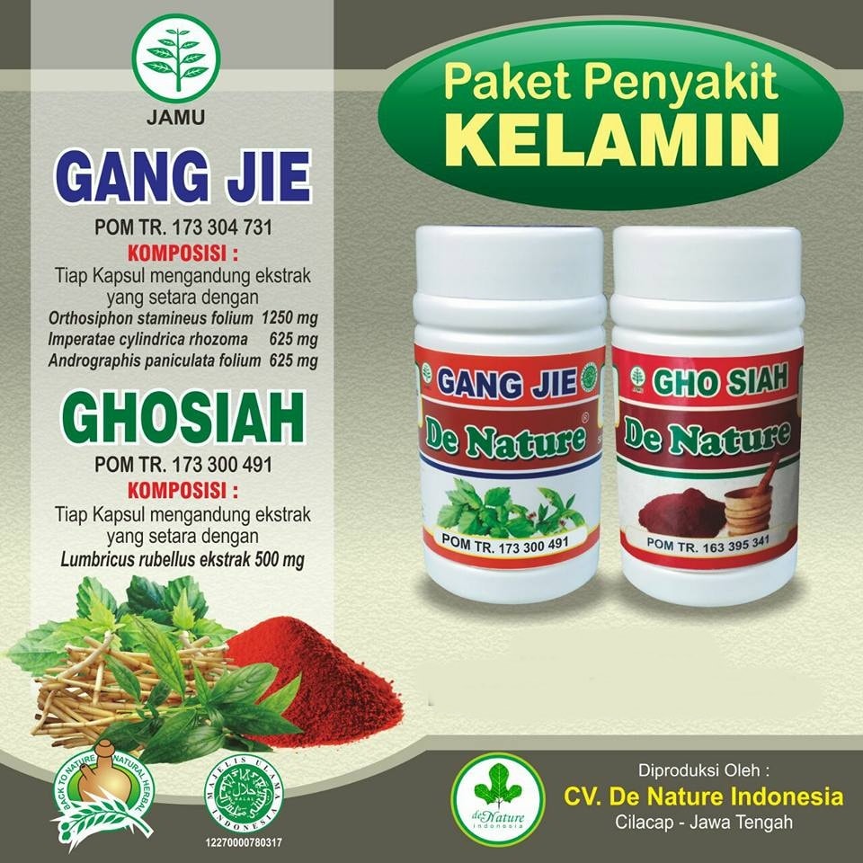 obat sipilis banyumas kabupaten banyumas jawa tengah selain Amoxicillin