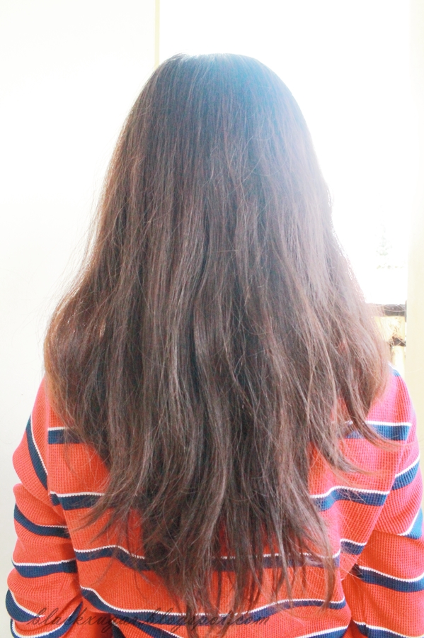 Hasil Warna Rambut Garnier Golden Brown Ala Model Kini