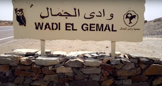 Wadi El Gemal National Park