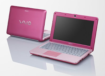 Sony Vaio VPCW115XG/P