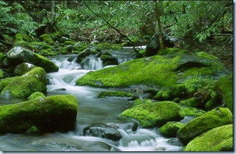 rivers_and_streams