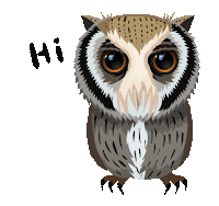 LINE Creators' Stickers - Cute owl www Example with GIF Animation