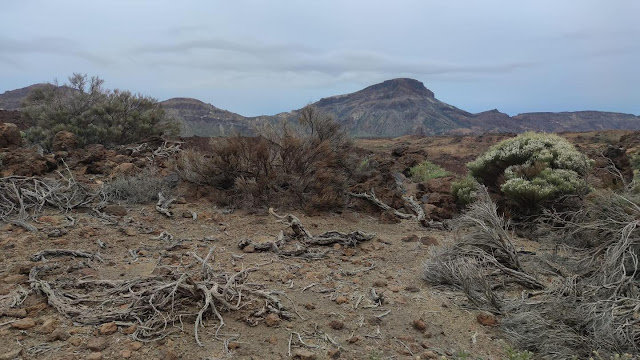 Explorando la maravilla natural del Parque Nacional del Teide