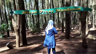 Hutan Pinus Mangunan Bantul