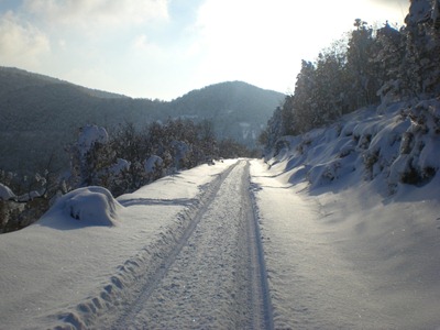 S.Vicino (30)