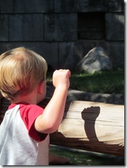 zoo 026