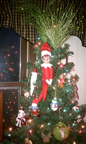elf8