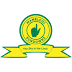 Mamelodi Sundowns FC 2019/2020 - Effectif actuel