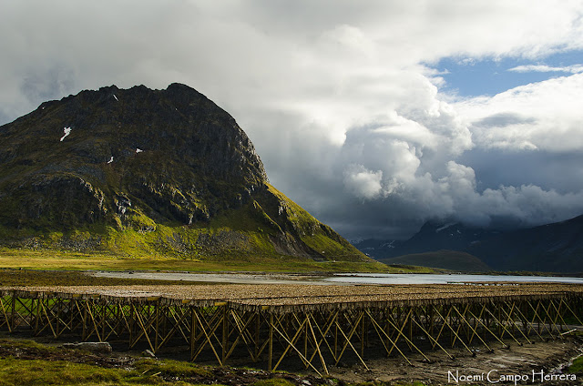 secando el pescado en las Lofoten