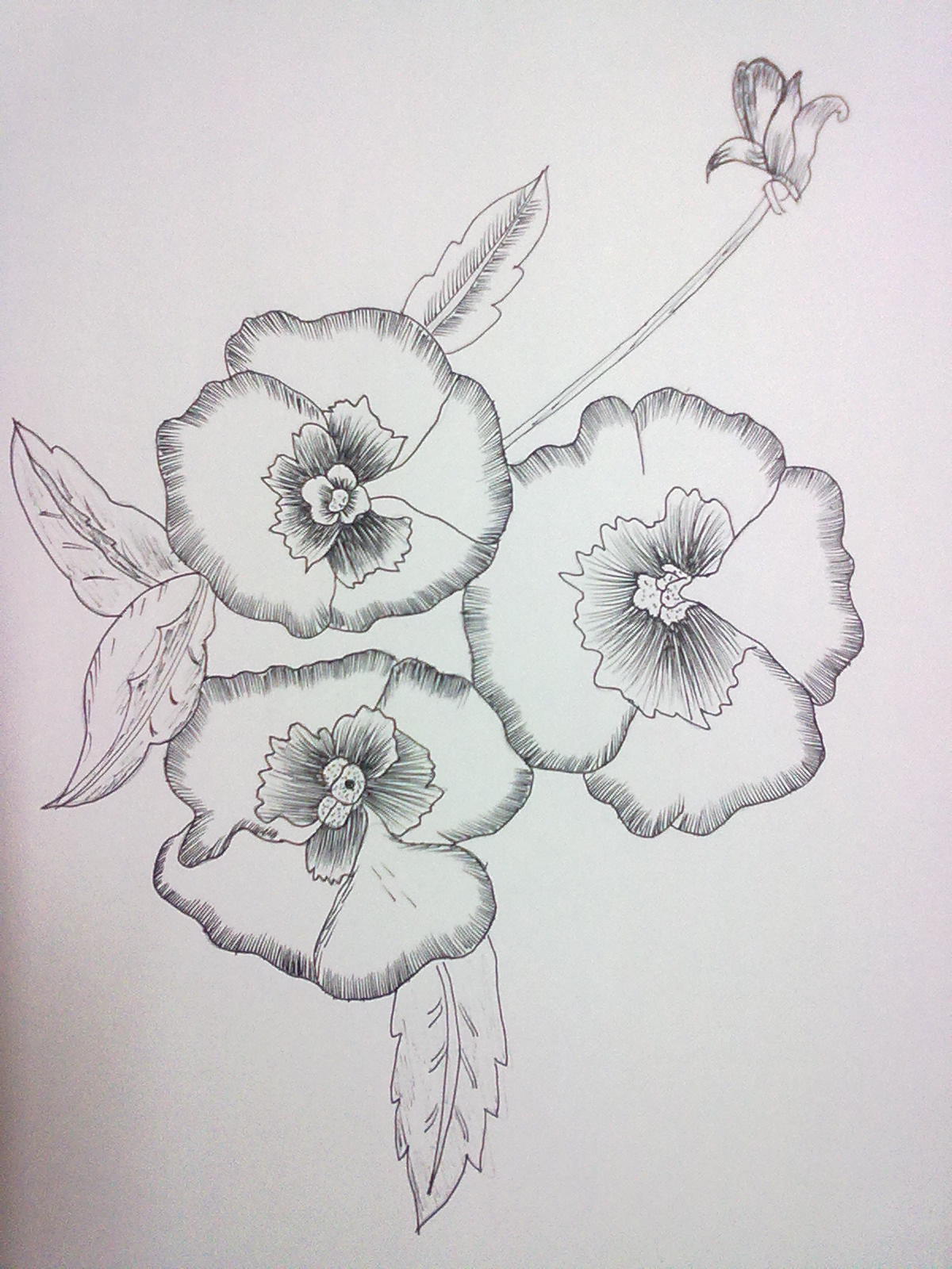 flower drawing