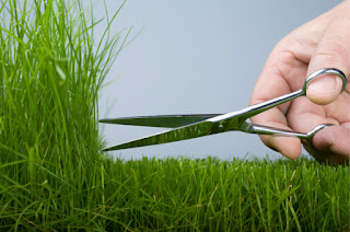 cutting grass with scissors