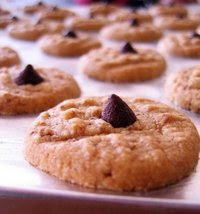 Coco Crunch Chocolate Chips Cookies