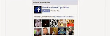 Facebook like box plugin for WordPress Site Blog