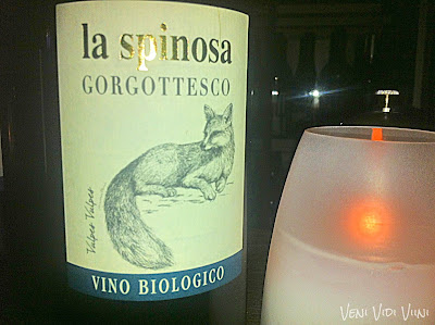 Punaviinit, viiniarviot, Toscana, Italia, luomuviinit, La Spinosa, viiniblogi