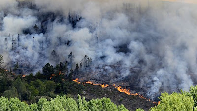 wildfires on  Spanish Canaryislands of Tenerife and La Gomera 