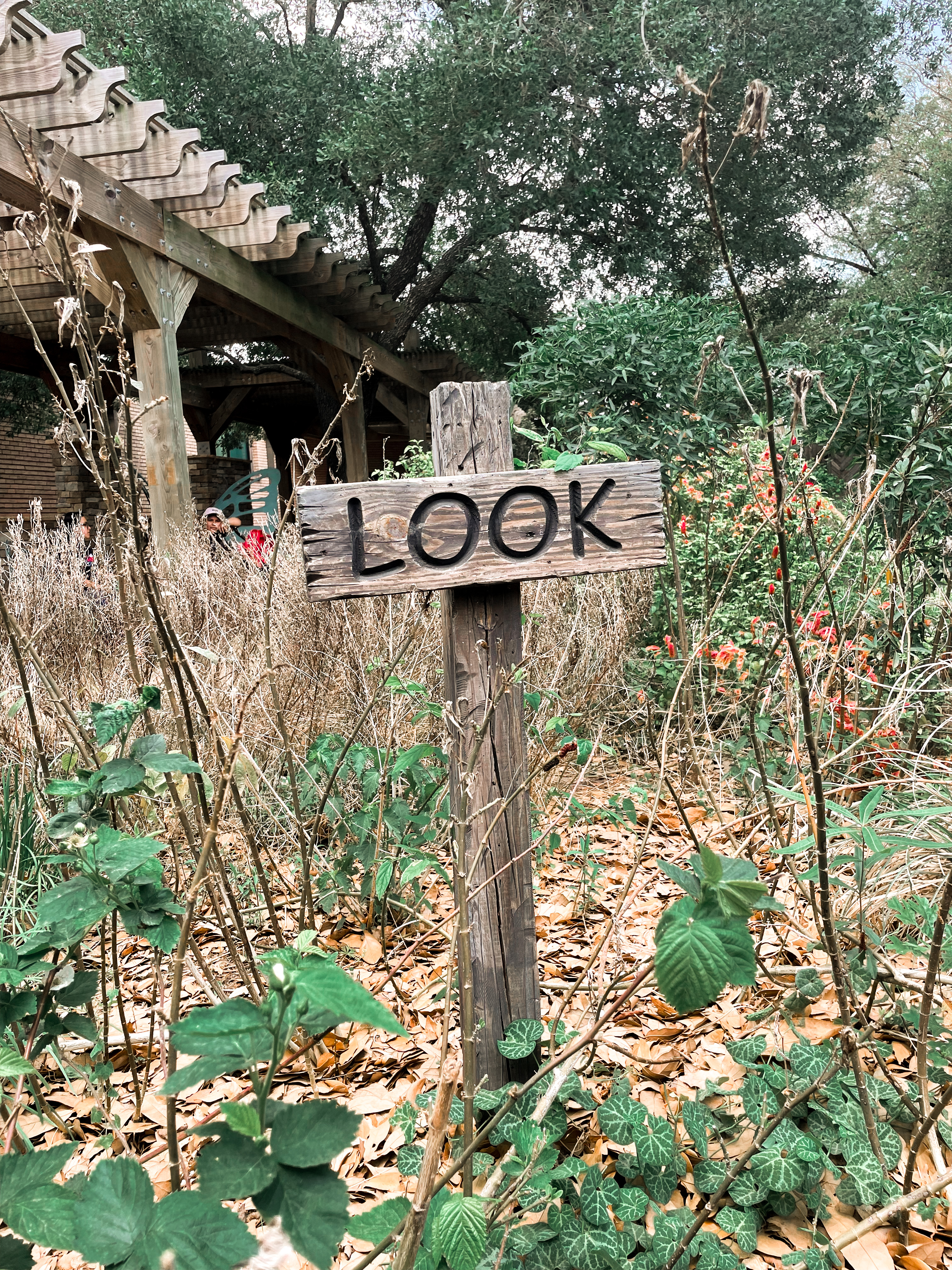 Explore the Wild at The Houston Zoo