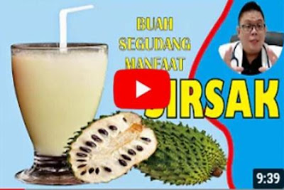 https://keranjangkesehatan.gankoko.com/2021/01/manfaat-dan-khasiat-buah-sirsak.html