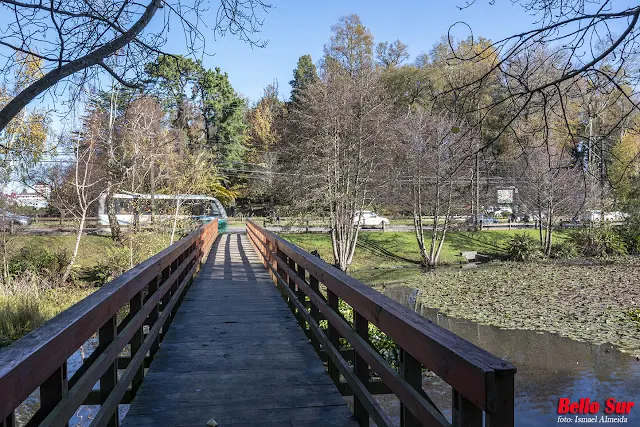 La hermosa instalación es unos de los atractivos turísticos dentro del entorno urbano en el paisaje fluvial Valdiviano.