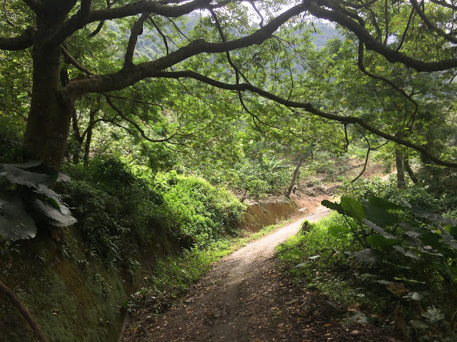 path to wutai waterfall, Pingdong, Taiwan