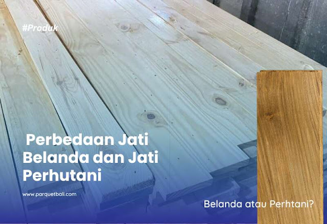 Belanda atau Perhtani? Belanda atau Perhtani?