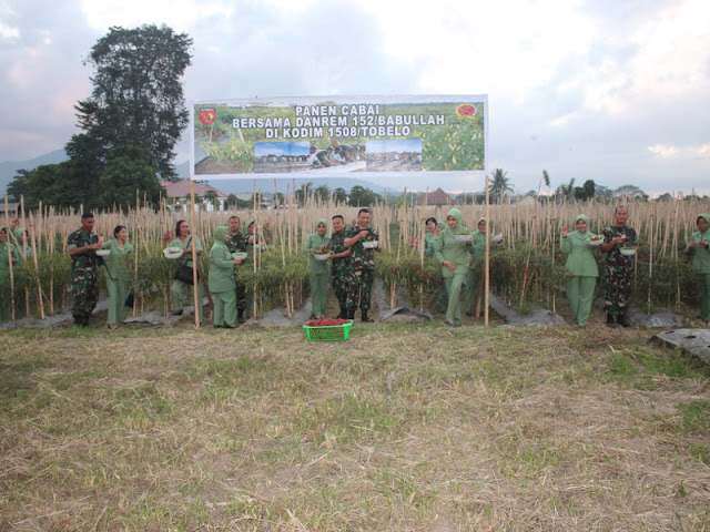 Endro Satoto Panen Raya Jagung dan Cabai di Kebun Kodim Tobelo