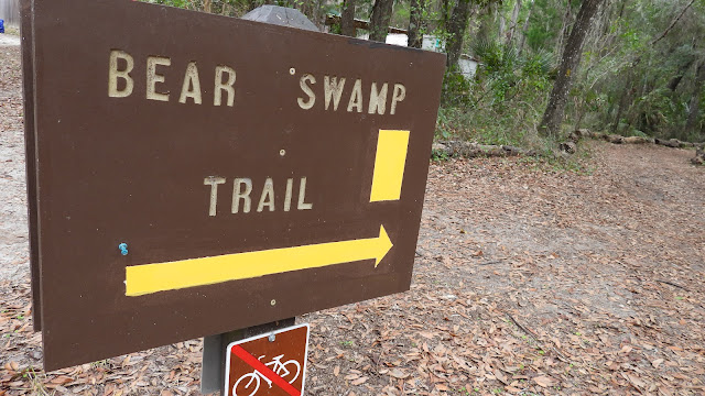 Salt Springs Recreation Area