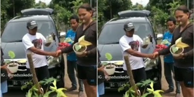 Viral Video Pria Barter Mobil dengan Tanaman, Bisa Bikin Ngamuk Istri - Bengkelhoki
