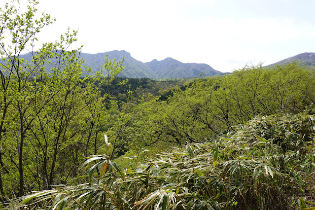 鳥取県西伯郡大山町豊房 香取の眺望