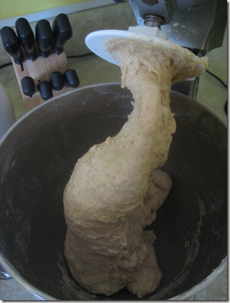 3 dough after flour before kneading