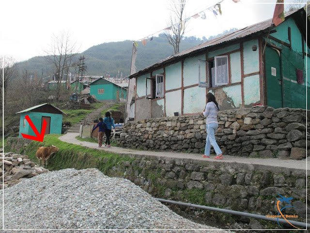 Sikkim, Índia