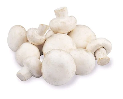 Bulk Mushroom Supplier In Jharkhand