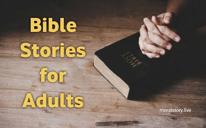 12 [Best] Bible Stories For Adults | Bible Stories