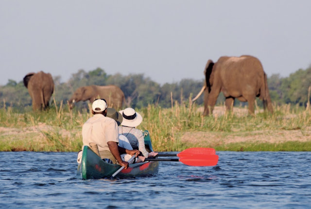 ONCE IN A LIFETIME: PEDDELEN OP DE ZAMBESI