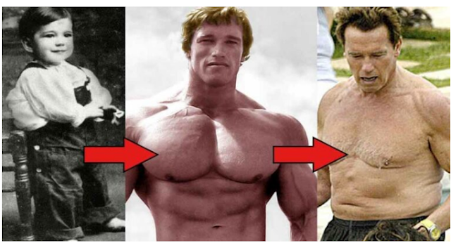 Arnold Schwarzenegger | Transformation From 0 To 73 Years Old