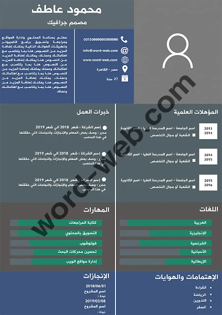 نموذج سيرة ذاتية احترافي PDF مجاني عربي