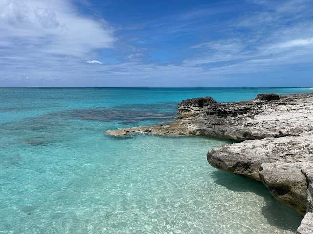 rocky shore